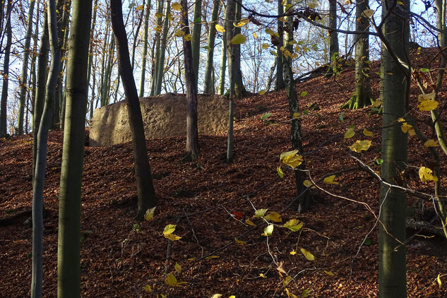 Hrad Starý Světlov, východní část parkánové hradby po provedení konzervace, pohled od severu (foto: Vrla 2023)